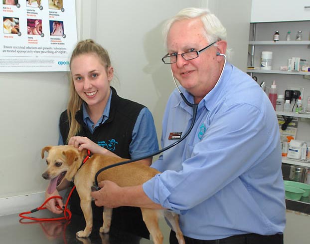 Dog and Cat Vaccinations at Yarraville Vet