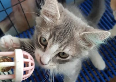 50773193_2071483866267274_3156012853241053184_n