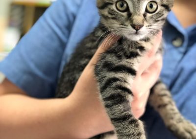 56624606_2173353329413660_5305831657780019200_o