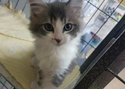 Resized20180319113052_2