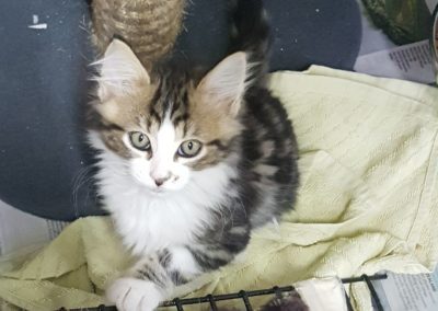 Resized20180319113556