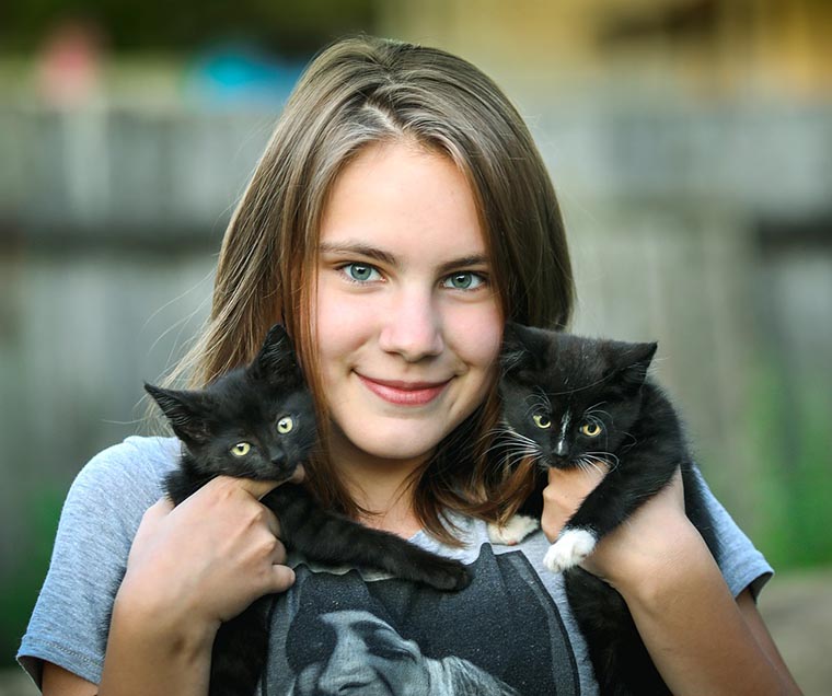 Dog and Cat Vaccinations at Yarraville Vet