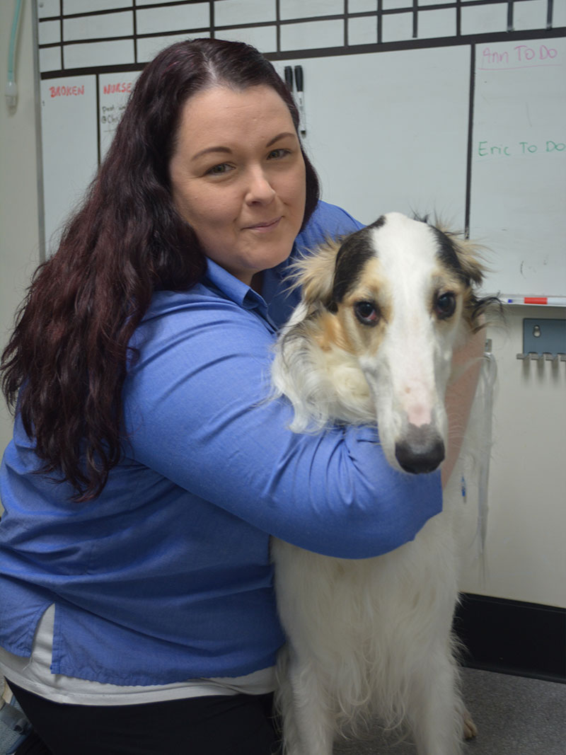 Yarraville Veterinary Clinic - Meet Our Team - Anne