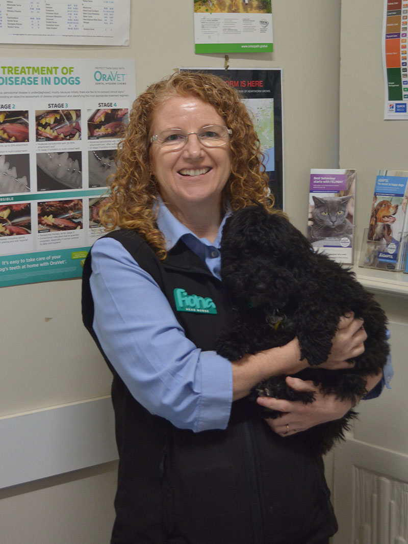 Yarraville Veterinary Clinic - Meet Our Team - Fiona