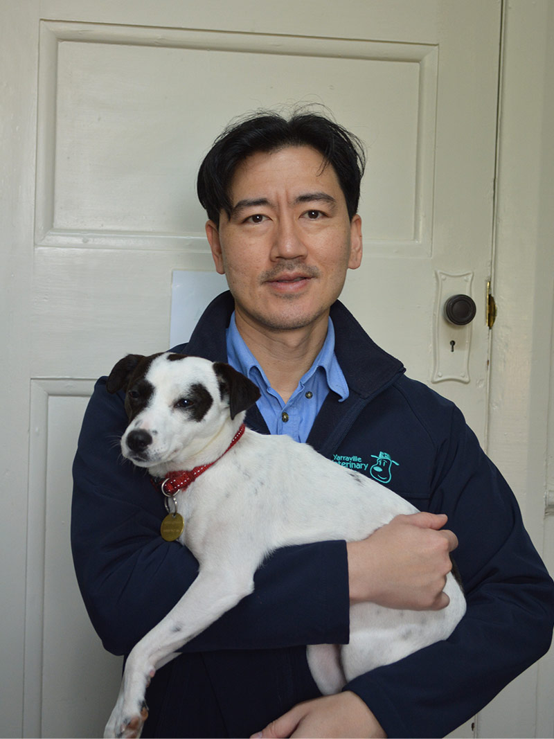 Yarraville Veterinary Clinic - Meet Our Team - Dr Eric Koh