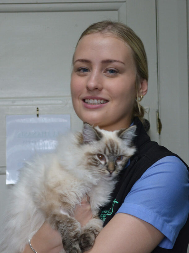 Meet Our Team Yarraville Veterinary Clinic